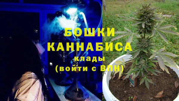 spice Пестово