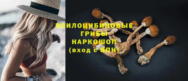 сатива Нефтекумск