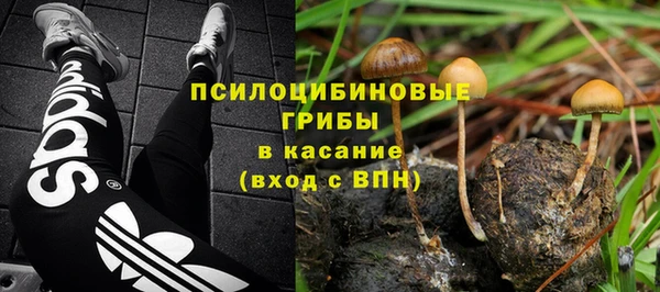 spice Пестово