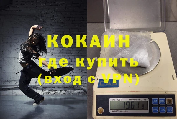 сатива Надым