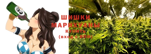 ПСИЛОЦИБИНОВЫЕ ГРИБЫ Видное