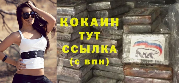spice Пестово